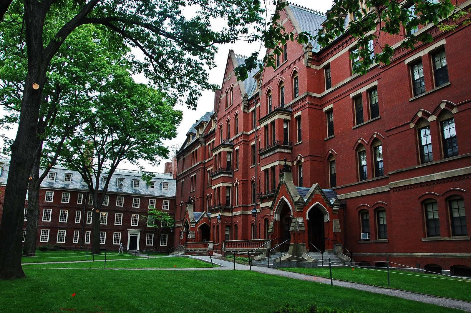 Documento de Harvard a los bancos centrales: ¡Compre Bitcoin!